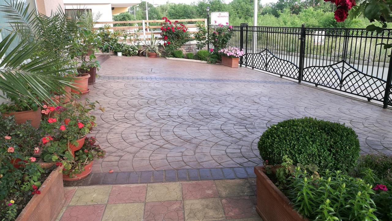 צרבו Family Hotel Mimosa מראה חיצוני תמונה